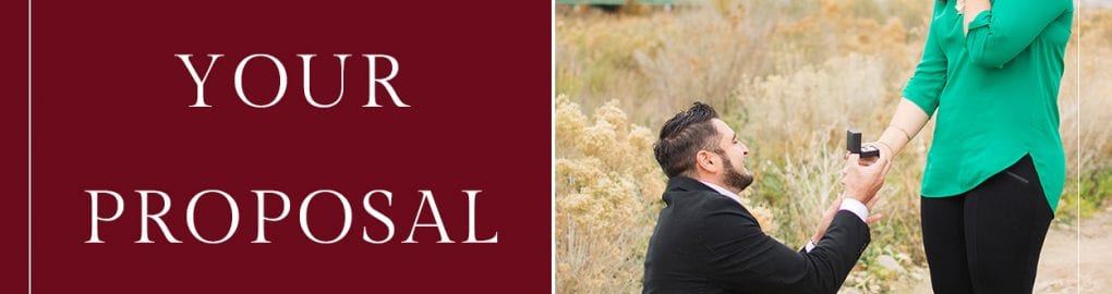 grand junction proposal