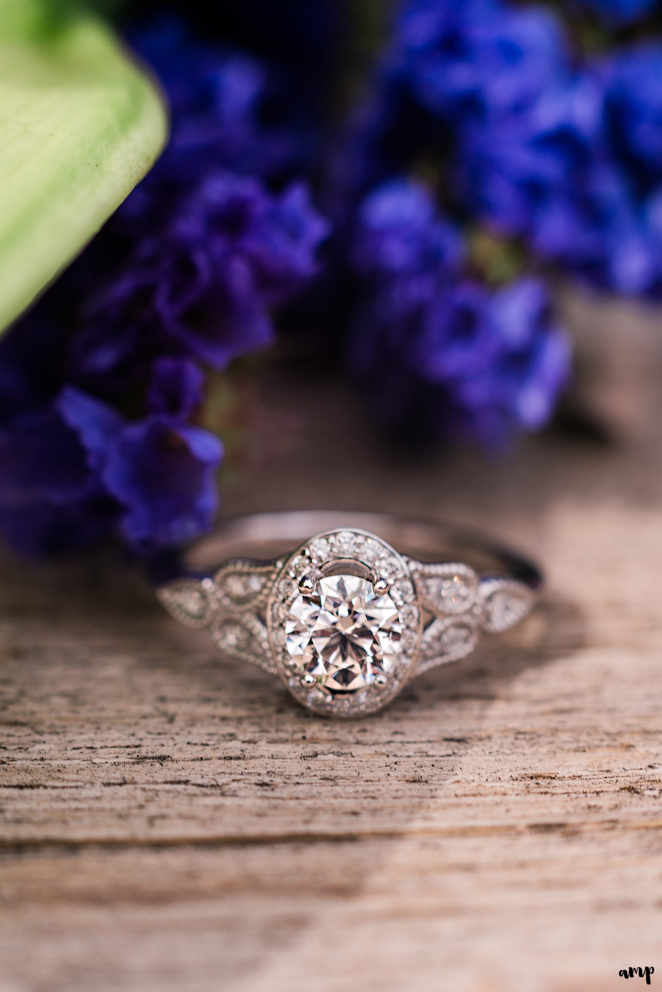Morgan & Josh's Amy's Courtyard engagement proposal | amanda.matilda.photography