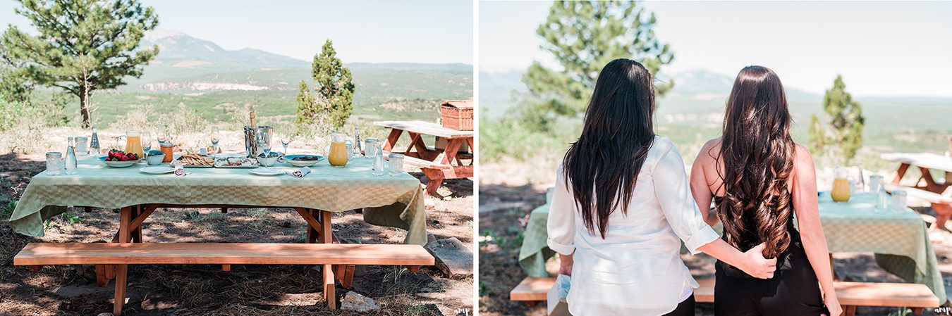 Gateway Air Tours Proposal | amanda.matilda.photography