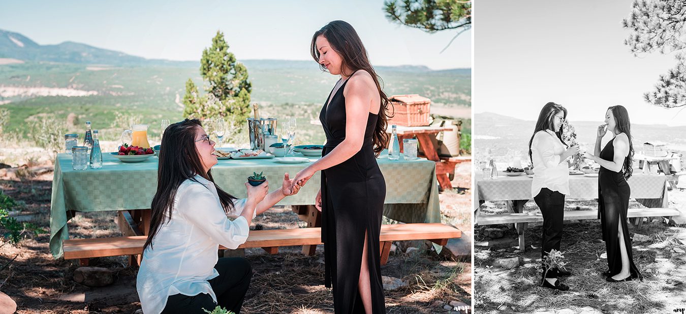 Gateway Air Tours Proposal | amanda.matilda.photography