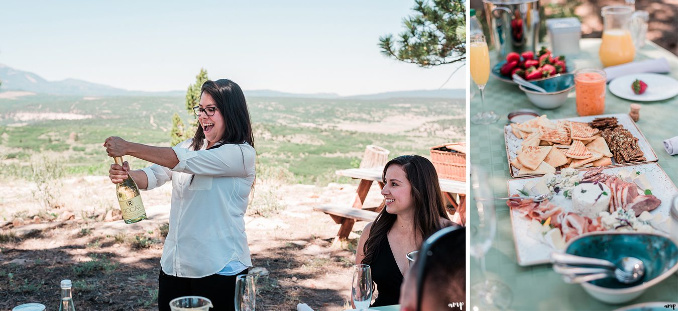 Gateway Air Tours Proposal | amanda.matilda.photography
