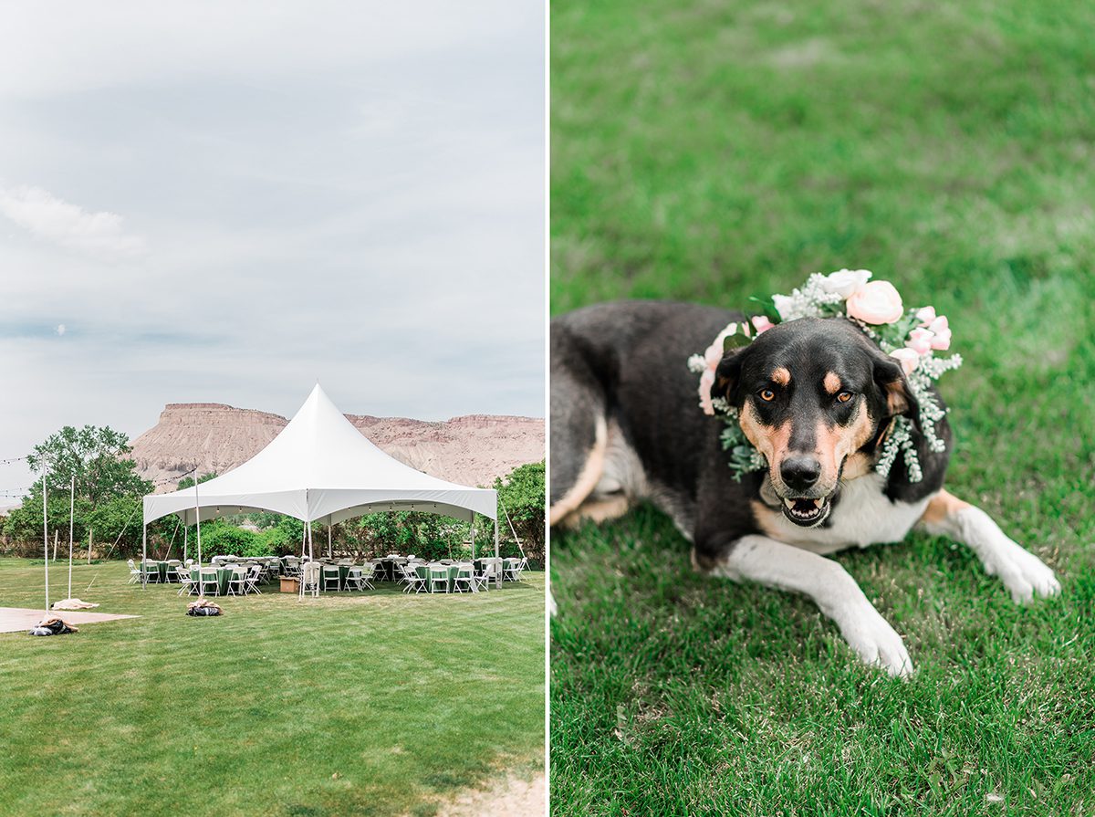 Annie & Taylor | Palisade River Ranch Wedding