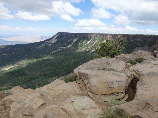 Top Five Most Unique Ways to Elope in Colorado