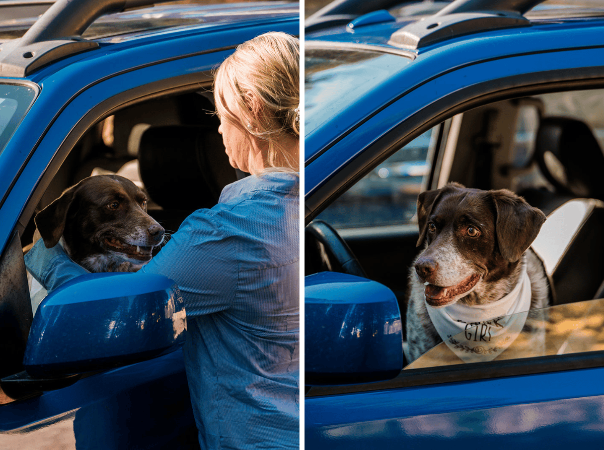 Sam & Allison | Fall Elopement on the Grand Mesa