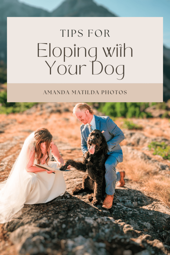 Eloping with Your Dog
